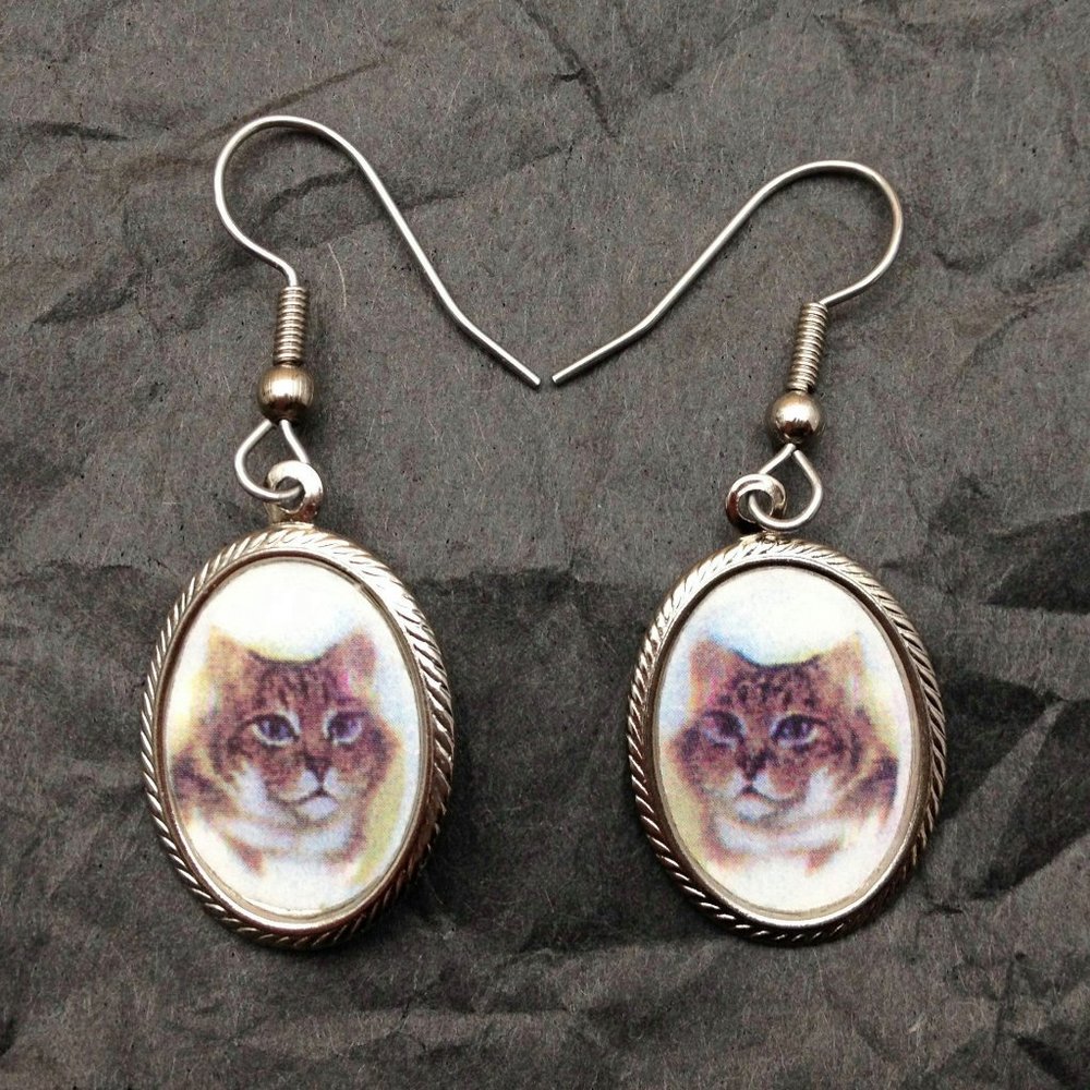 Cute Tabby Cat Novelty Oval Charm Silver Tone Dangle Drop Earrings